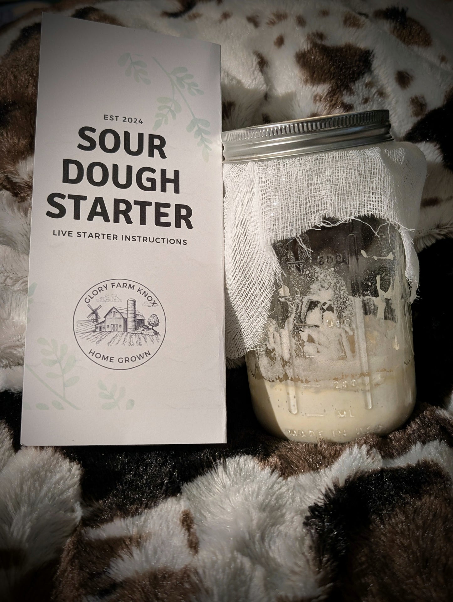 Live Sourdough Starter (local pickup only)